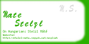 mate stelzl business card